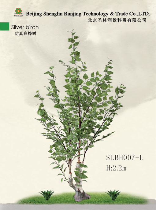 仿真桦树SLBH007-L