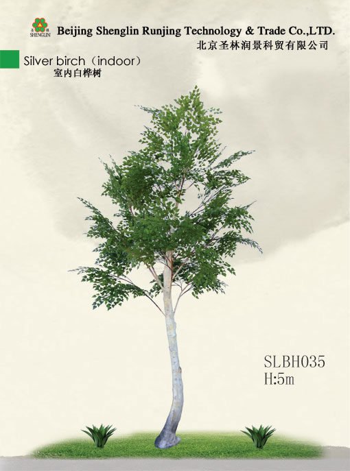 仿真白桦树SLBH035