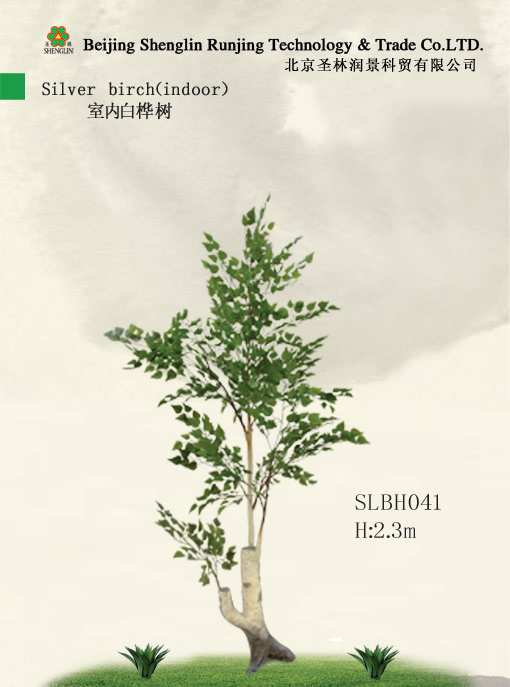室内仿真白桦树SLBH041