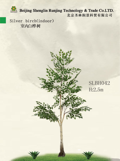 室内仿真白桦树SLBH042