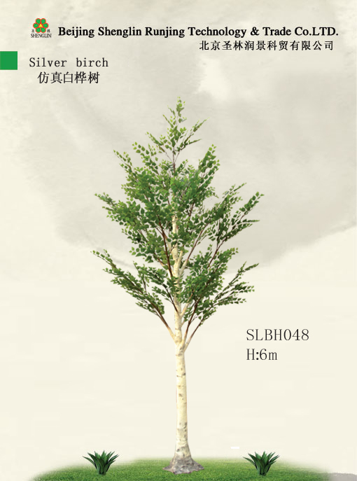 仿真白桦树SLBH048