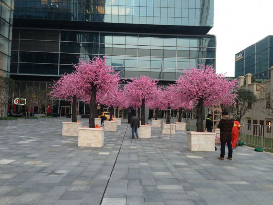 广场桃花树