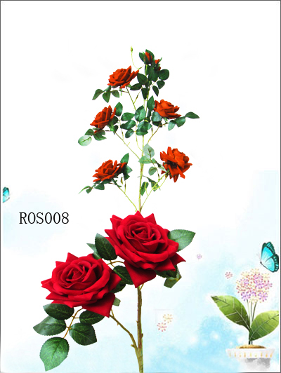 ROSe008