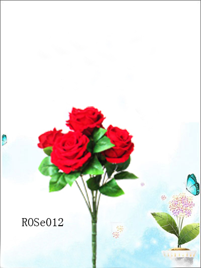 ROSe012
