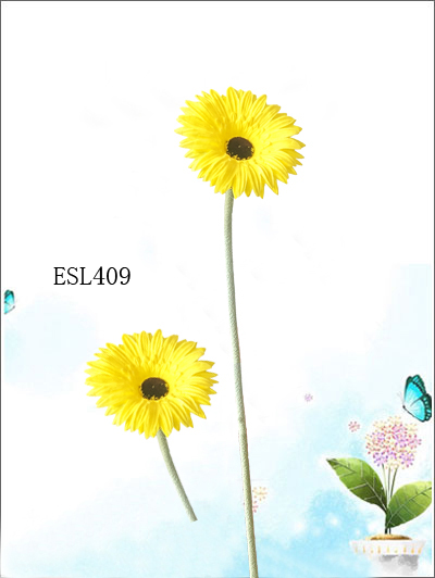 ESL409