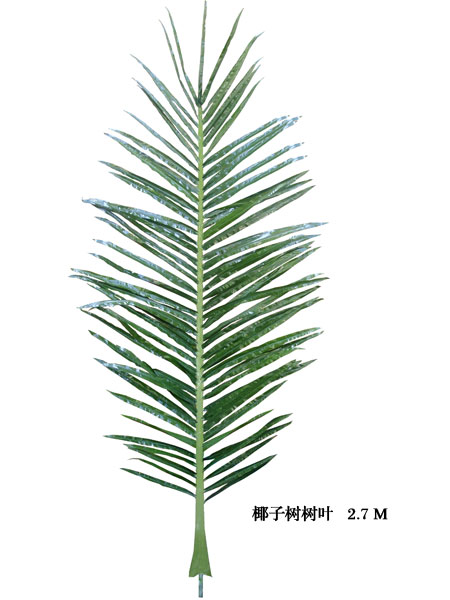 Palm tree leaves2.7M