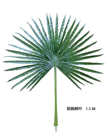 Palm tree leaves1.5M