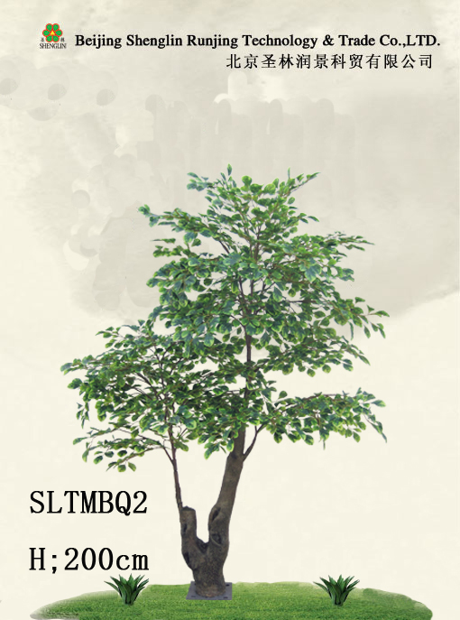 SLTMBQ2