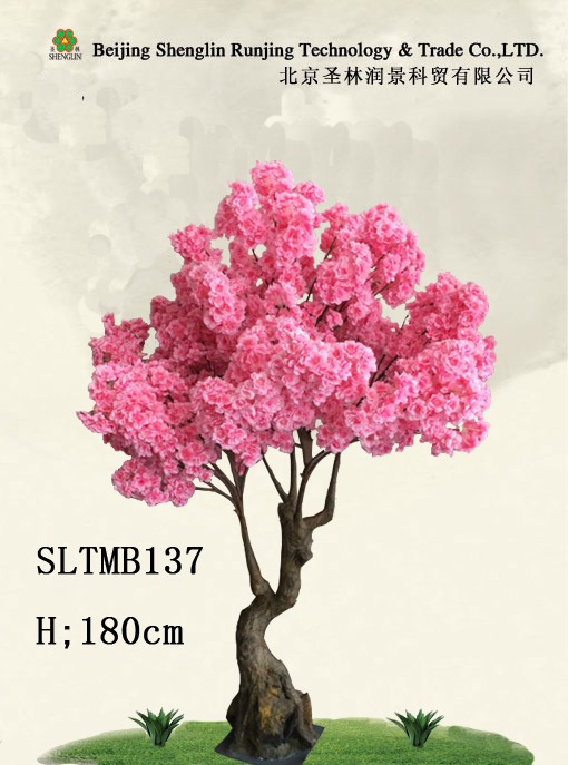 SLTMB137