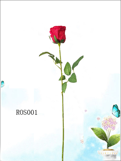 ROS001