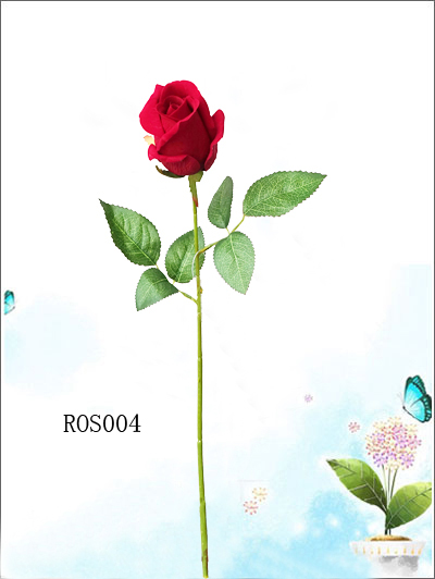 ROS004