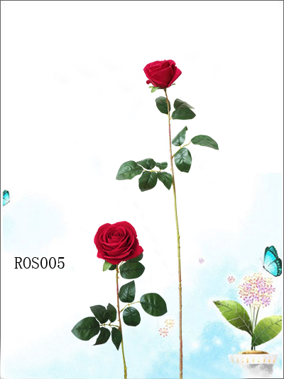 ROS005