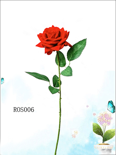 ROS006
