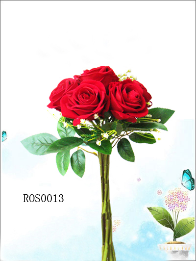 ROS013