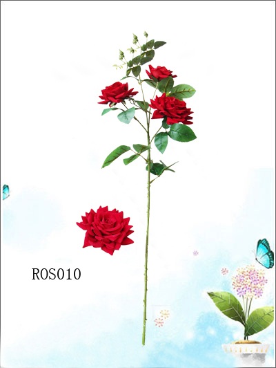 ROSe010