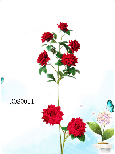 ROSe0011