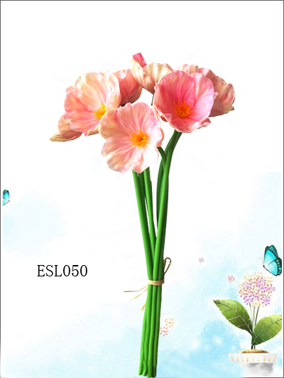 ESL050